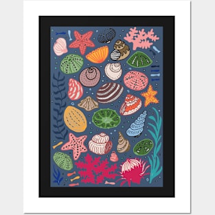 Sea Shells Posters and Art